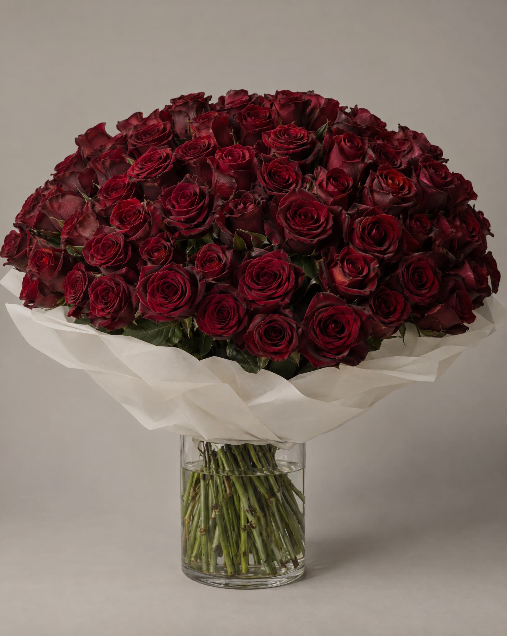 One hundred deep red roses in a wide domed bouquet wrapped in white tissue in a clear glass vase