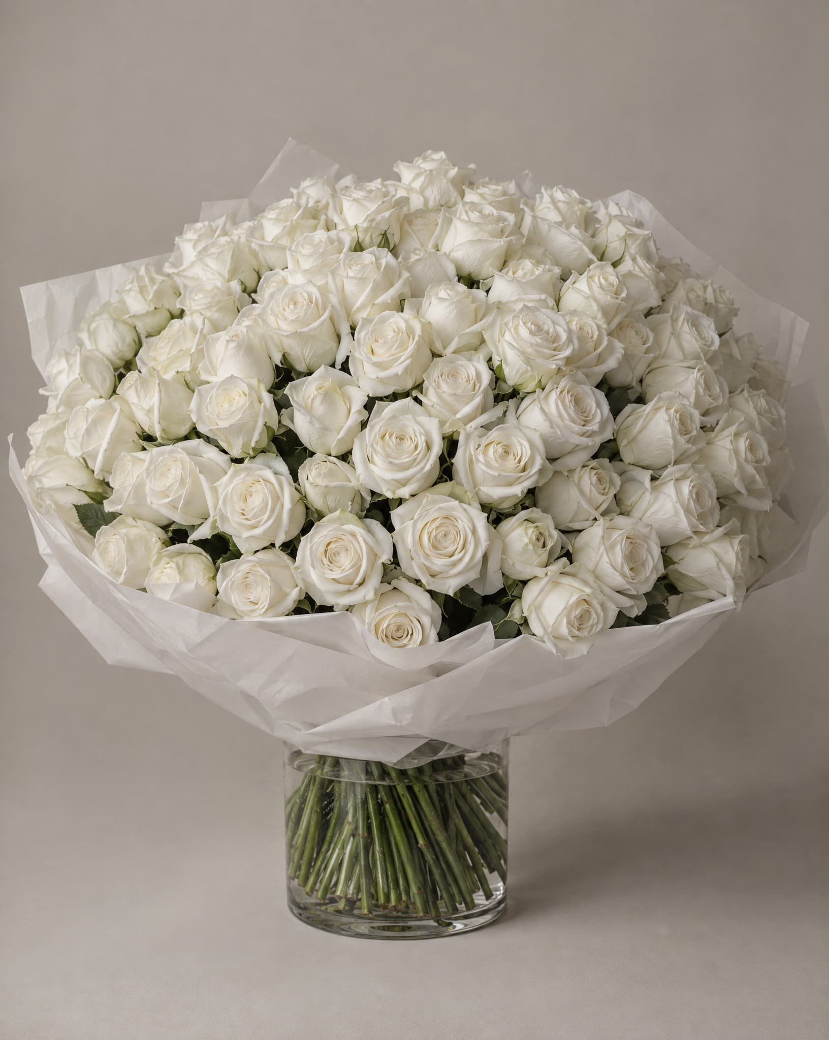 One hundred pure white roses in a wide domed bouquet wrapped in white tissue in a clear glass vase