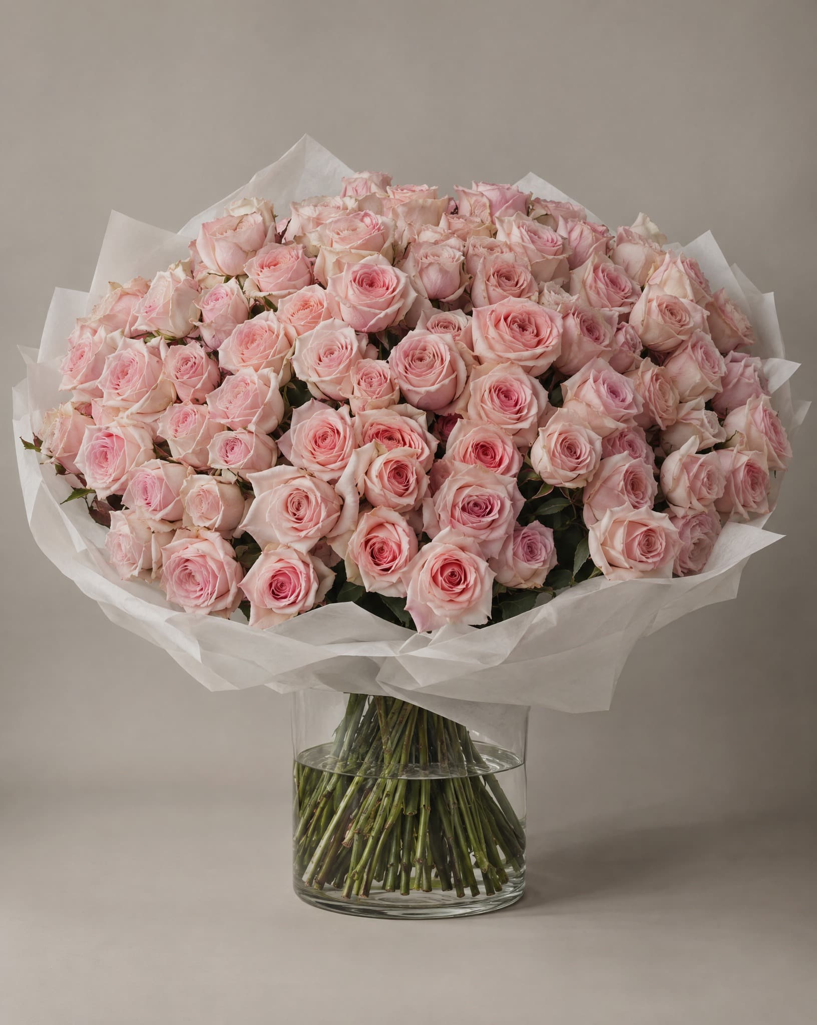 One hundred blush pink roses in a wide domed bouquet wrapped in white tissue in a clear glass vase