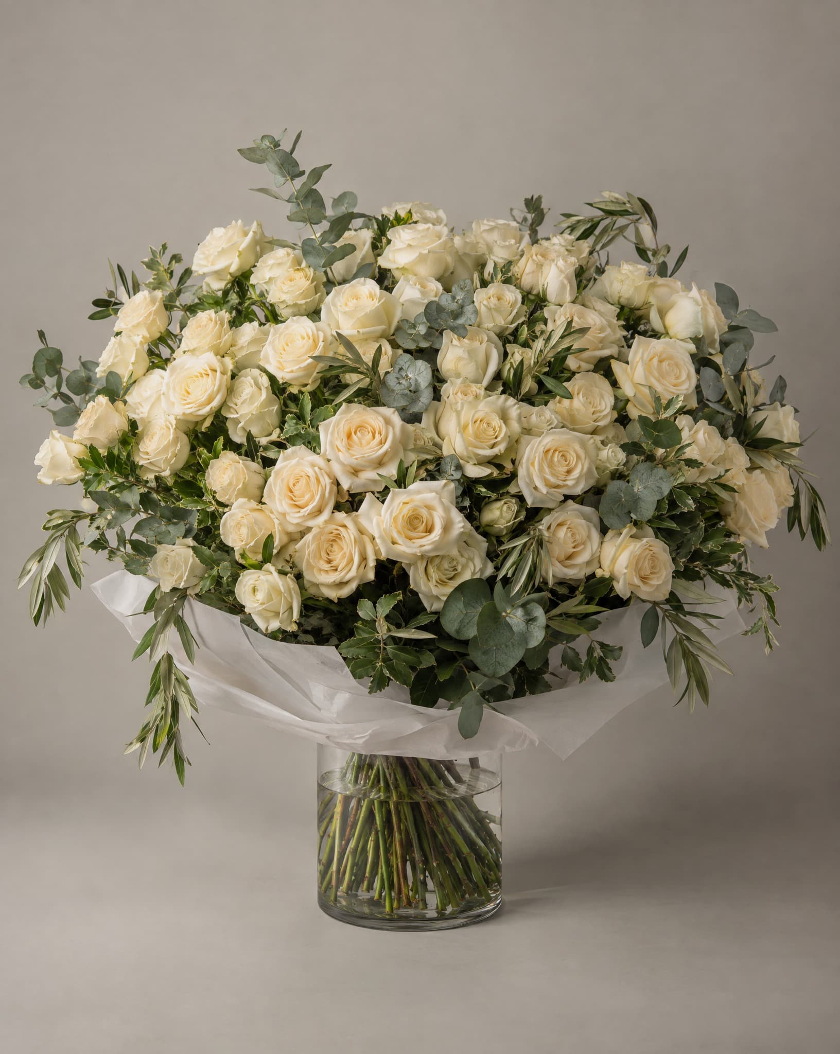 The Royal Palm, rosas color crema, tamaño Lujo