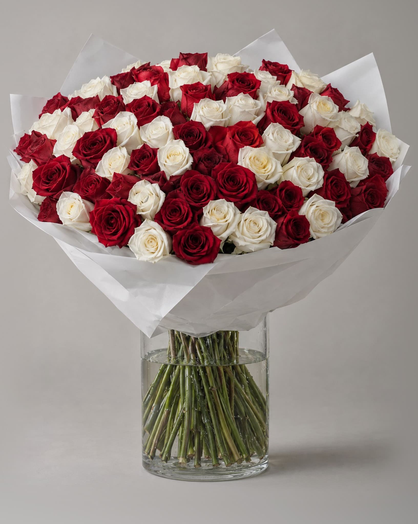 One hundred red and white roses wrapped in white paper in a clear glass vase