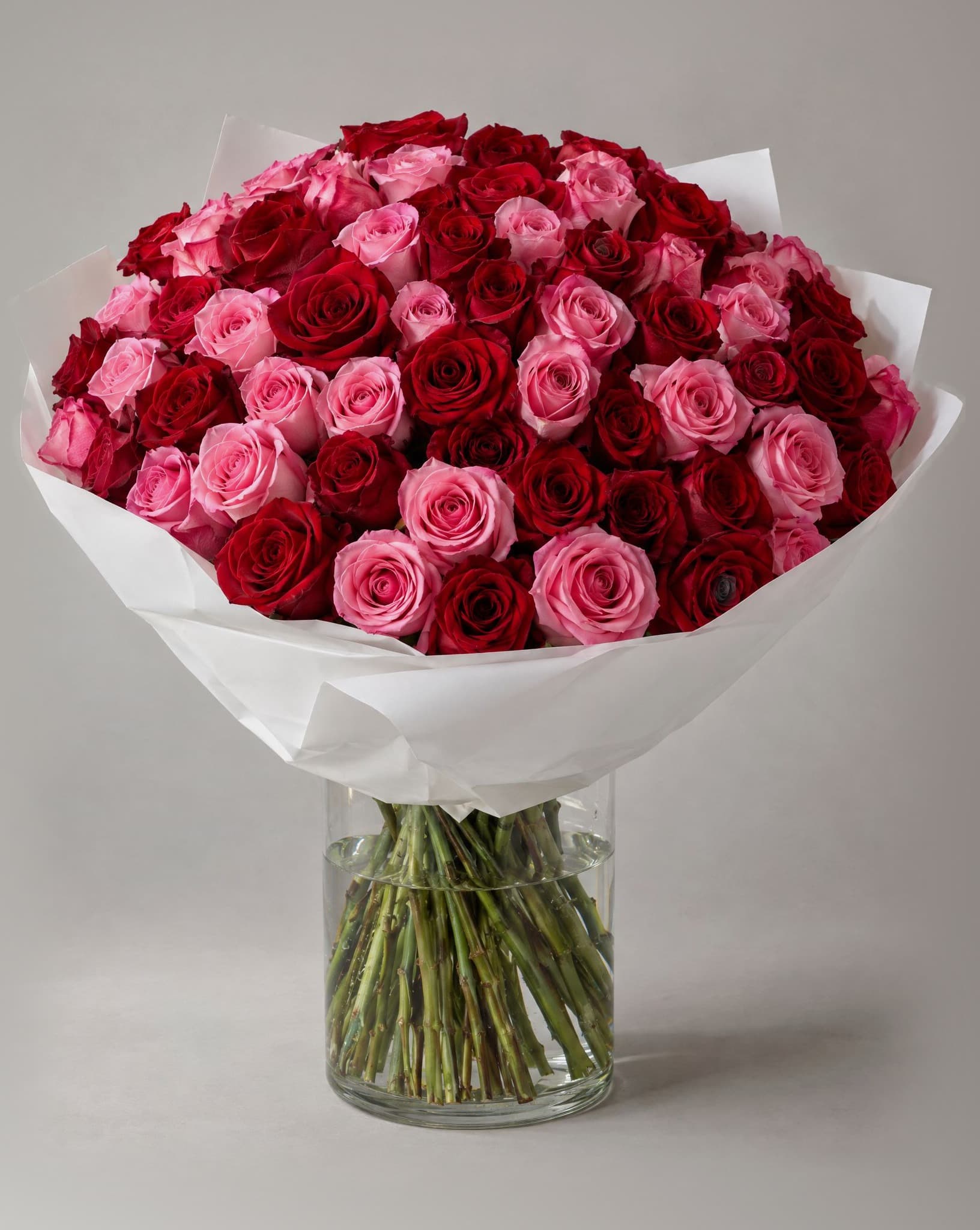 One hundred red and pink roses wrapped in white paper in a clear glass vase