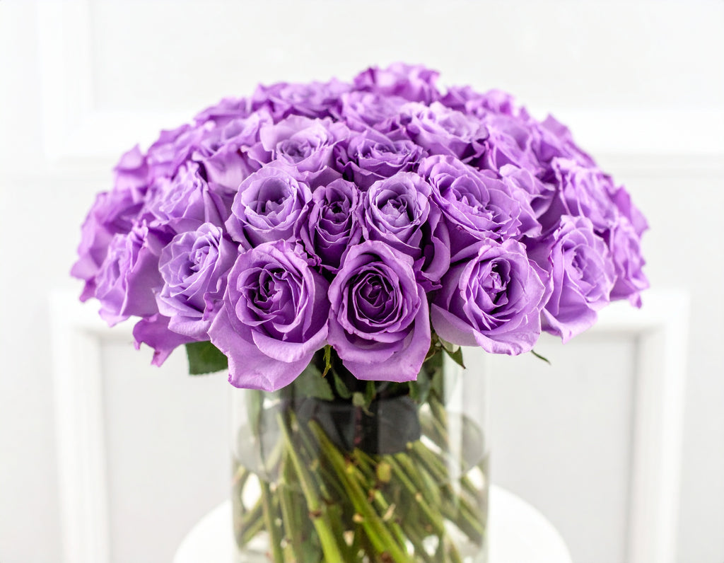 Lavender Bliss
