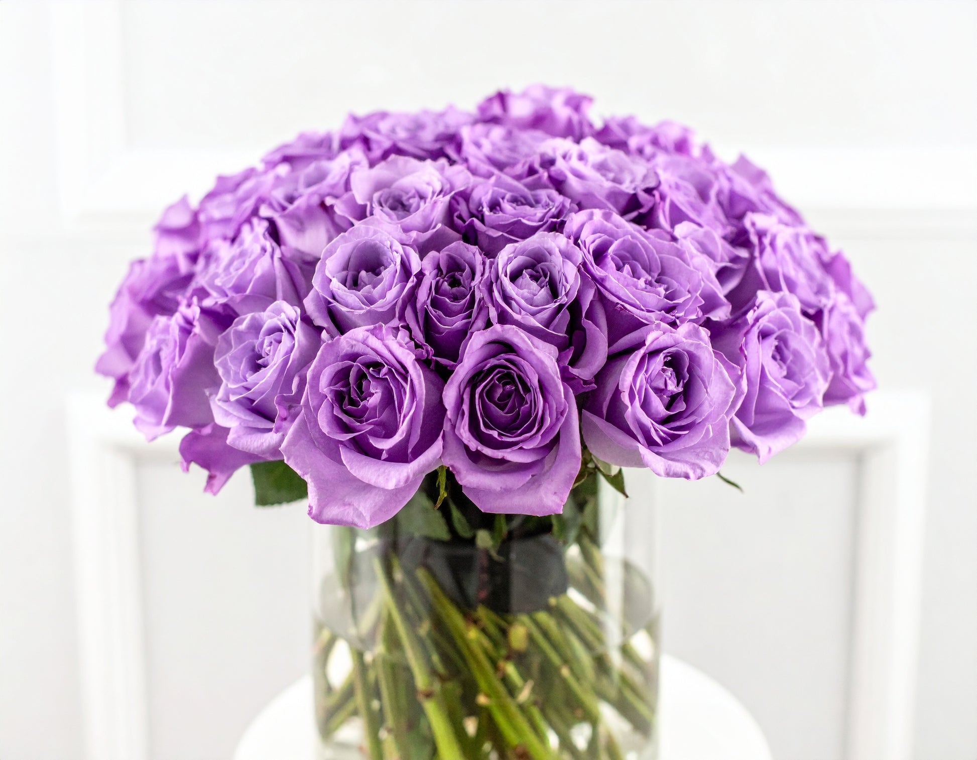 Lavender Bliss