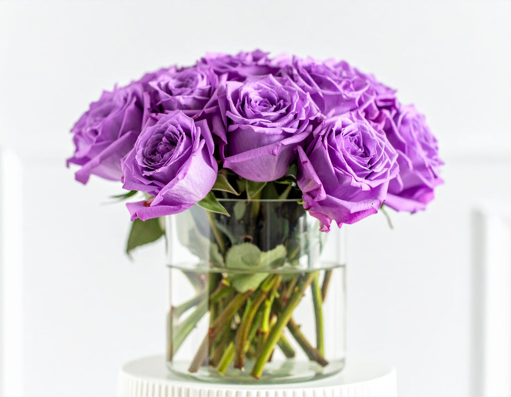 Lavender Bliss