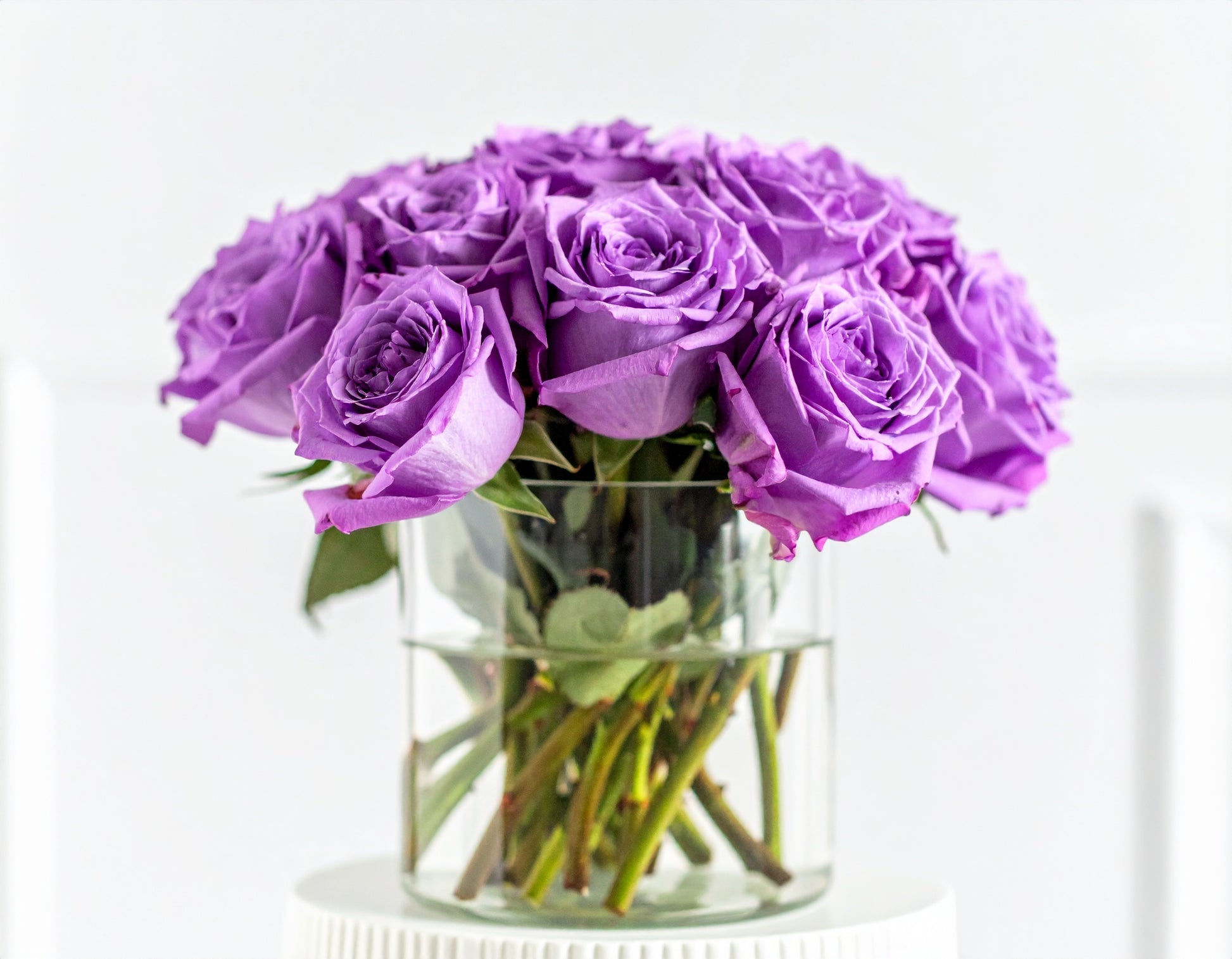 Lavender Bliss