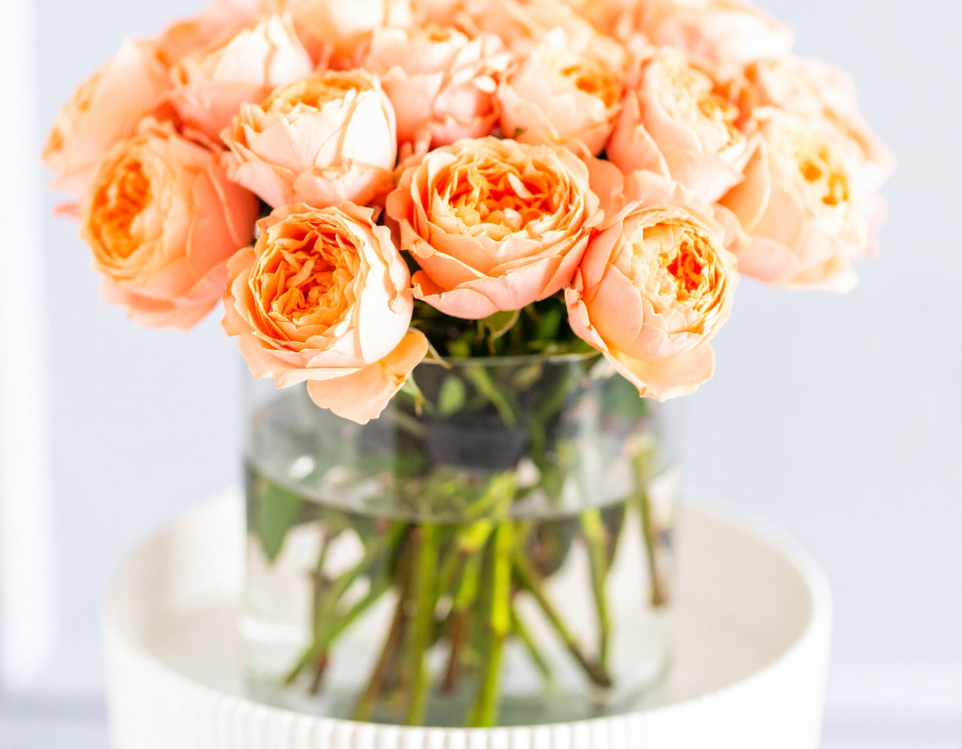 Peach Melody