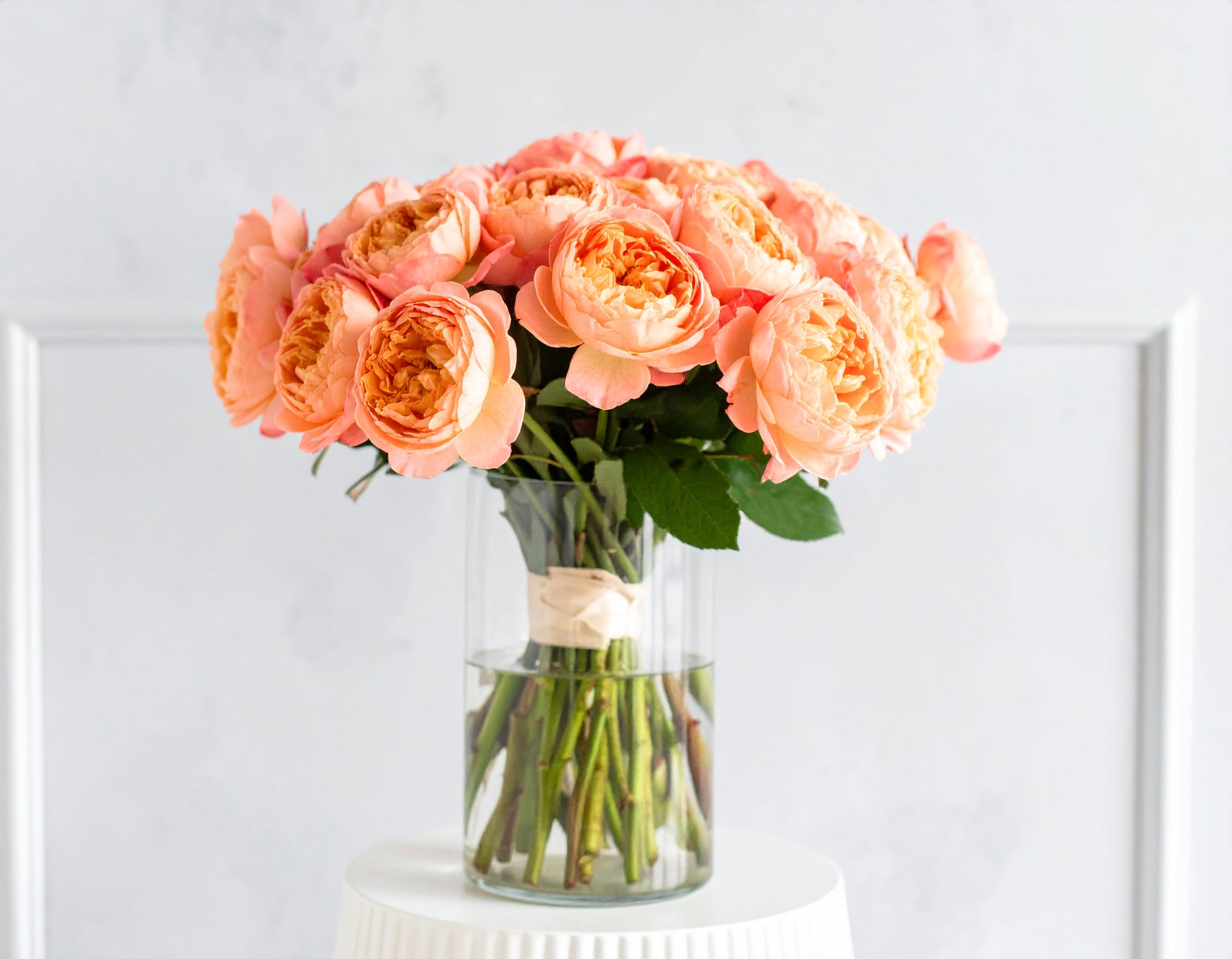 Peach Melody