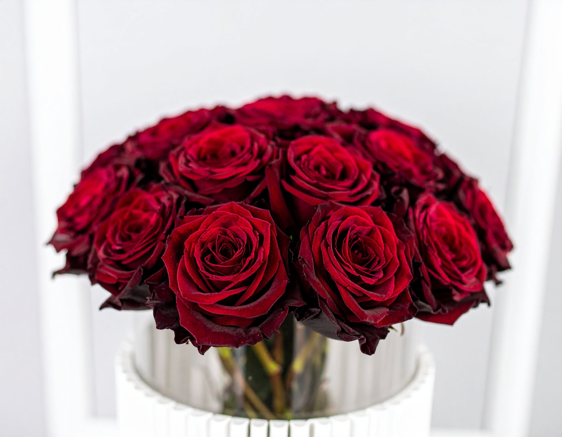 Classic Burgundy